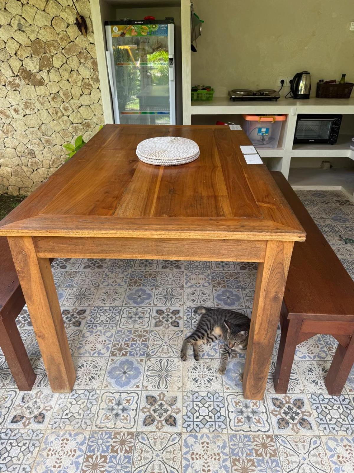 Anjing Nusa Dua (Bali)